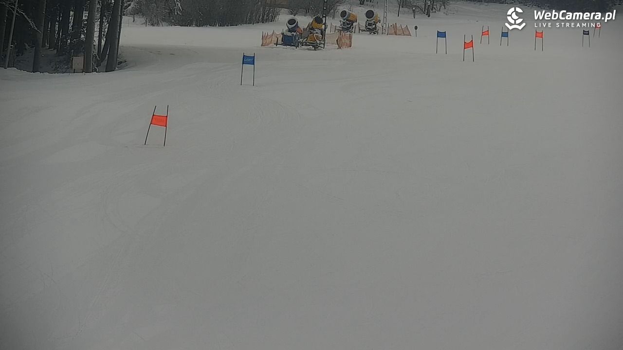 CIENIAWA - Ski - 10 styczeń 2026, 09:18