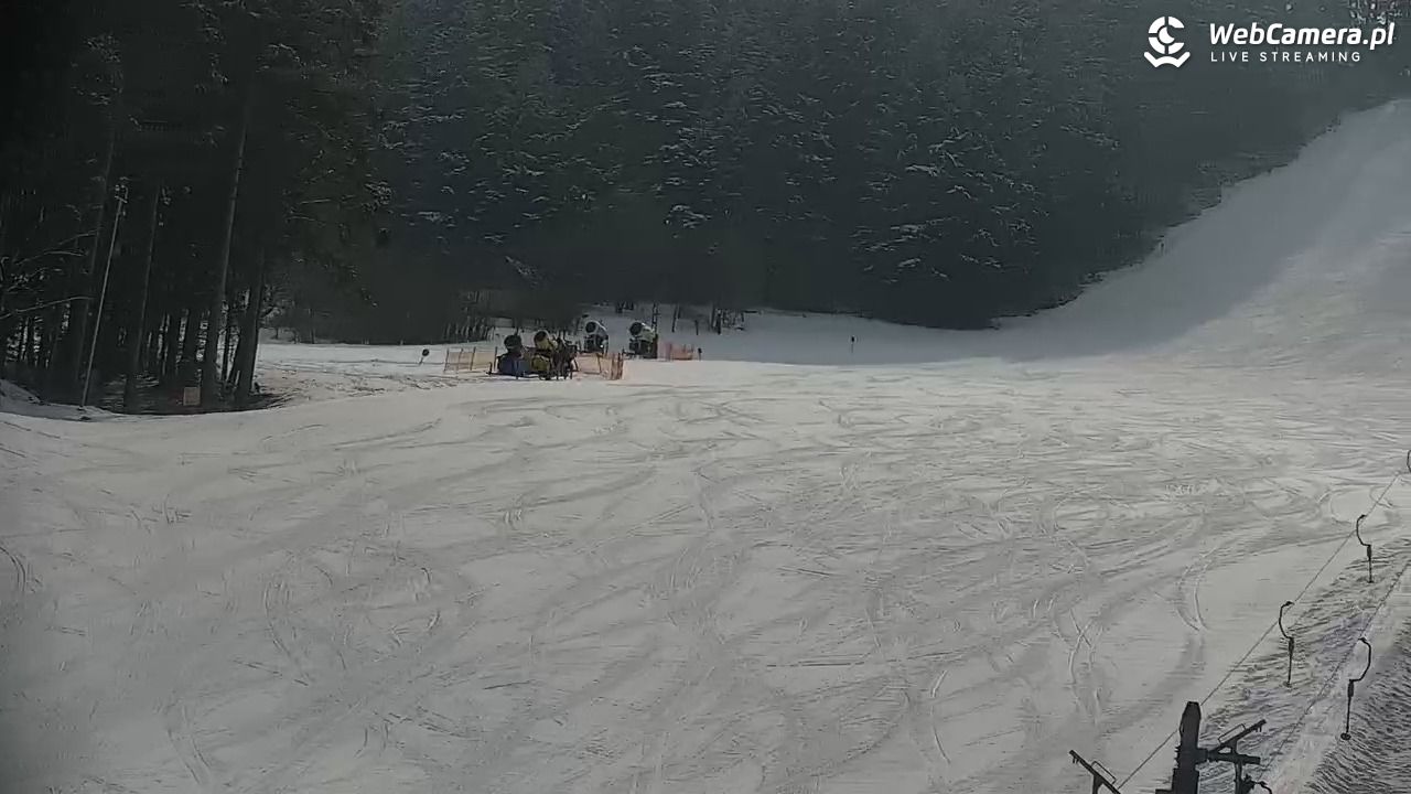 CIENIAWA - Ski - 19 luty 2026, 11:27