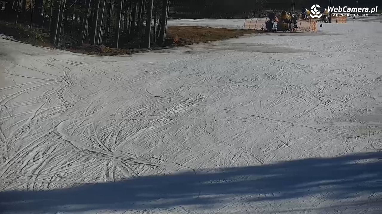 CIENIAWA - Ski - 03 marzec 2026, 13:41
