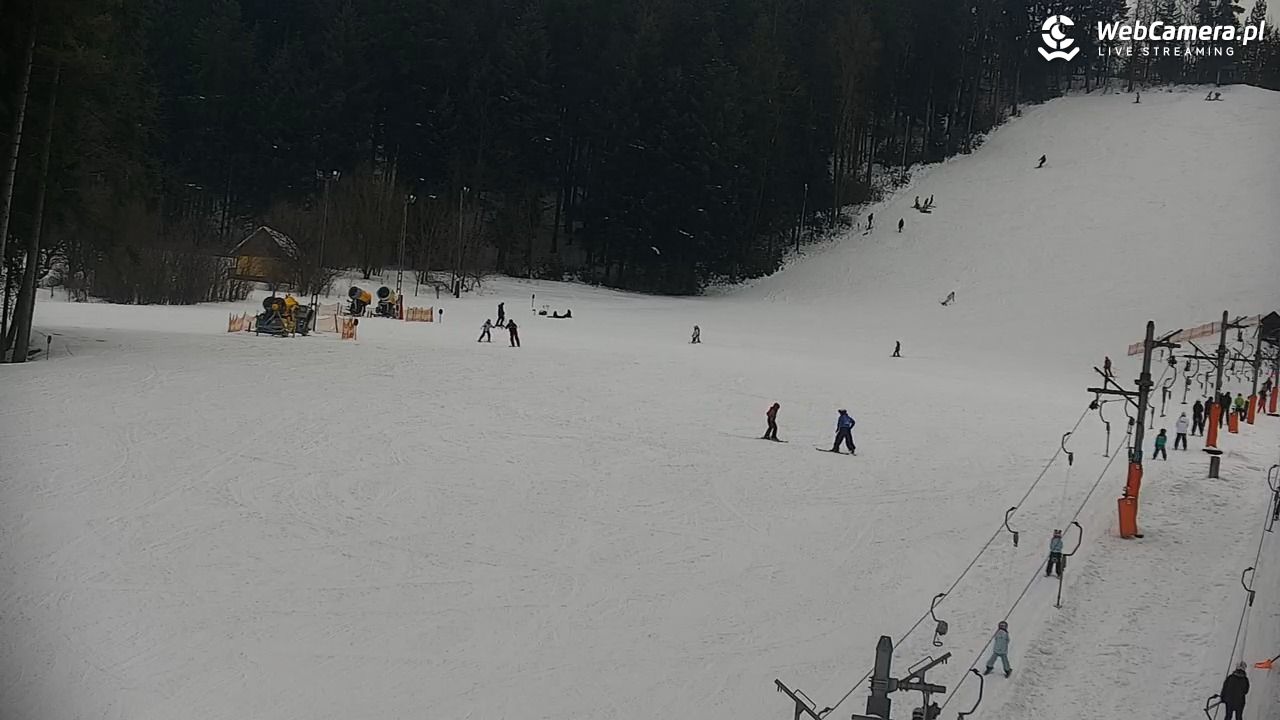 CIENIAWA - Ski - 24 styczeń 2026, 12:39