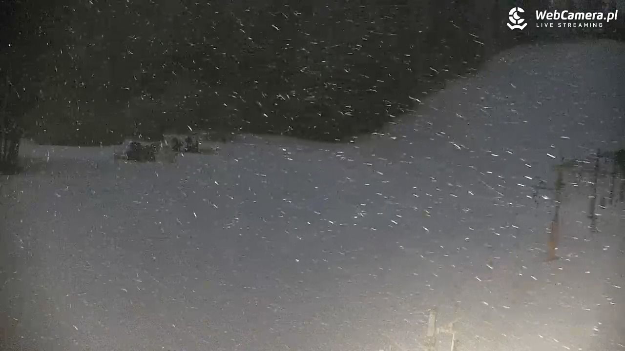CIENIAWA - Ski - 31 styczeń 2026, 22:47