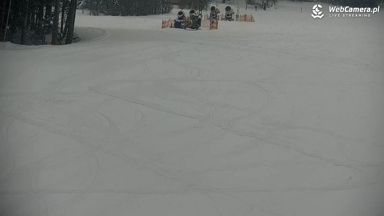 CIENIAWA - Ski - 08 styczeń 2026, 09:42
