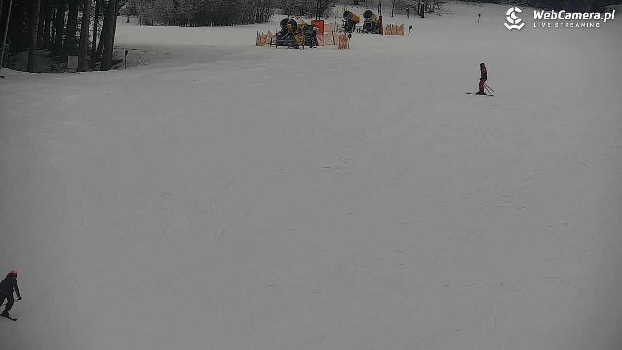 CIENIAWA - Ski - 31 styczeń 2026, 10:45