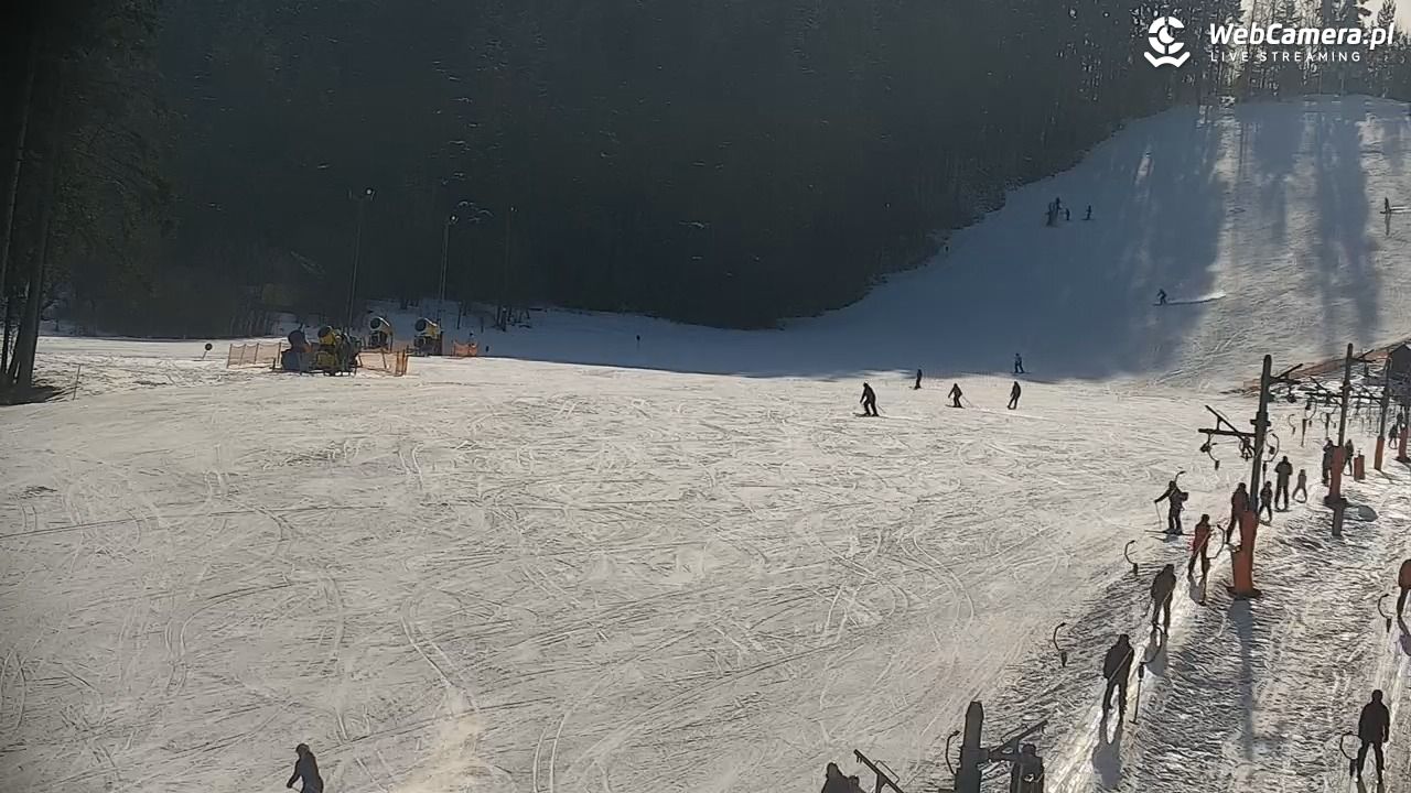 CIENIAWA - Ski - 21 luty 2026, 10:58