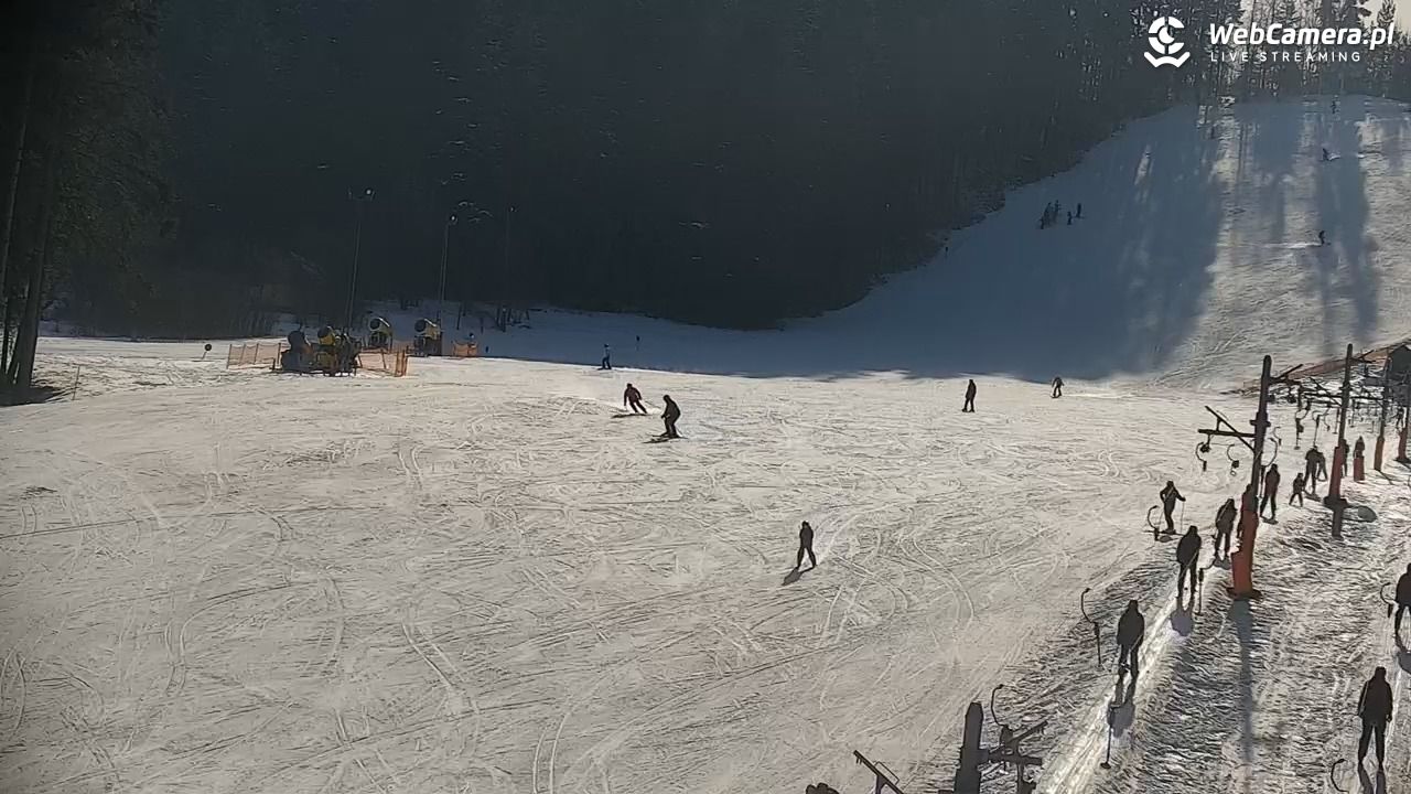 CIENIAWA - Ski - 21 luty 2026, 10:58