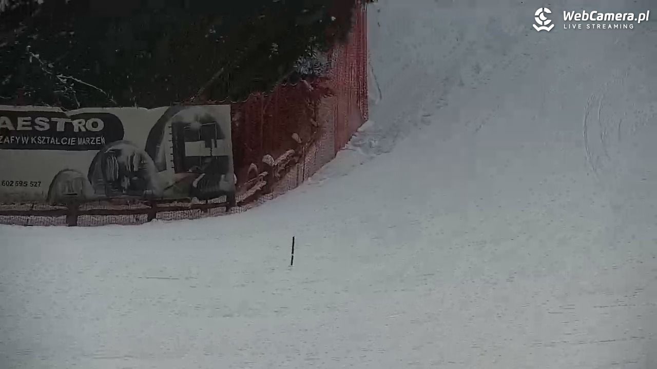 CIENIAWA - Ski - 24 styczeń 2026, 10:23