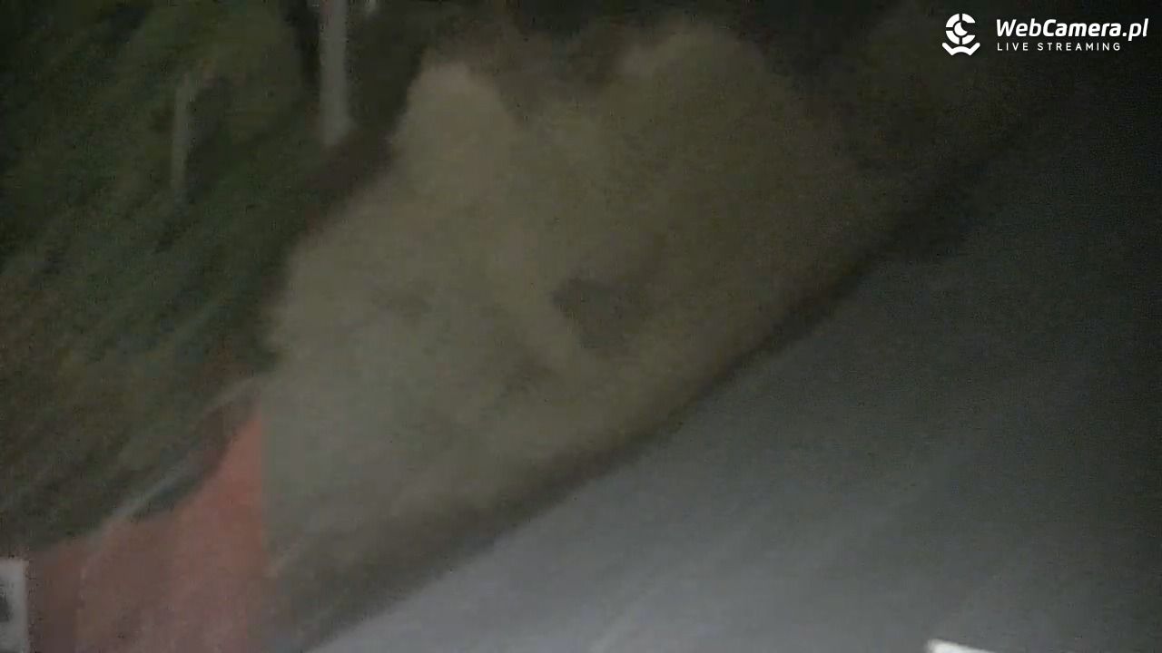 CIENIAWA - Ski - 08 marzec 2026, 19:19