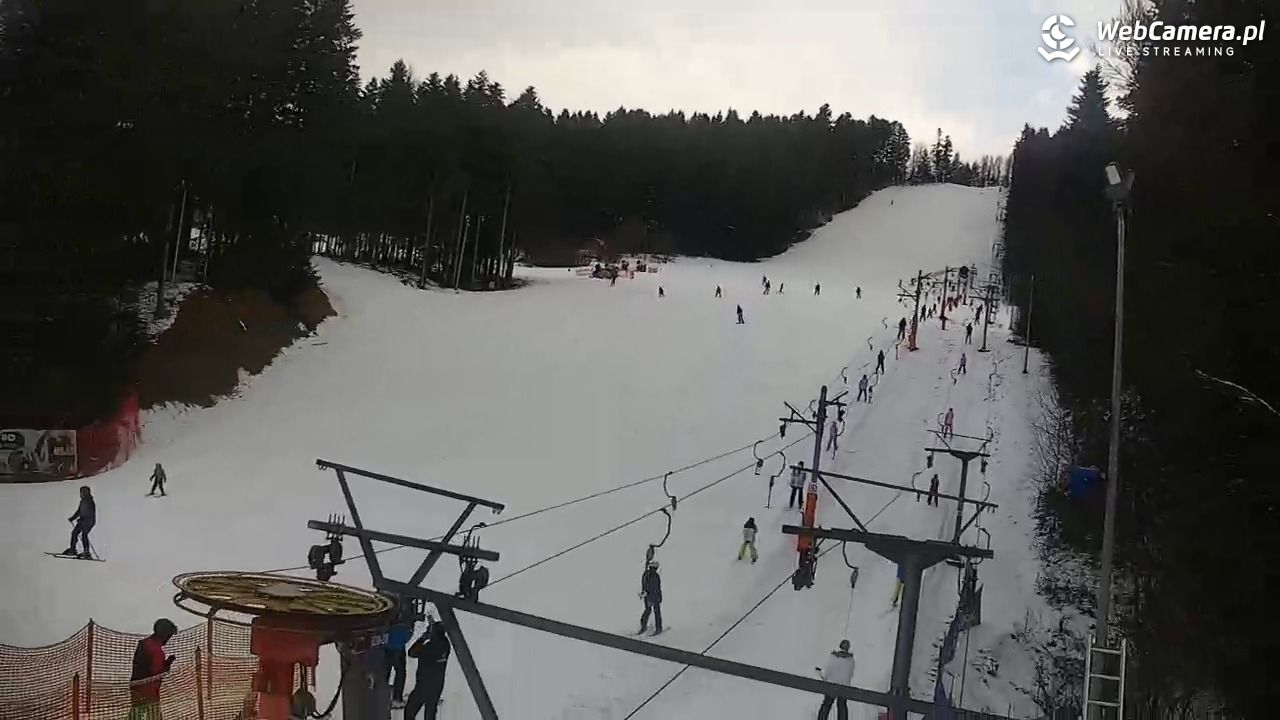 CIENIAWA - Ski - 21 luty 2026, 14:57