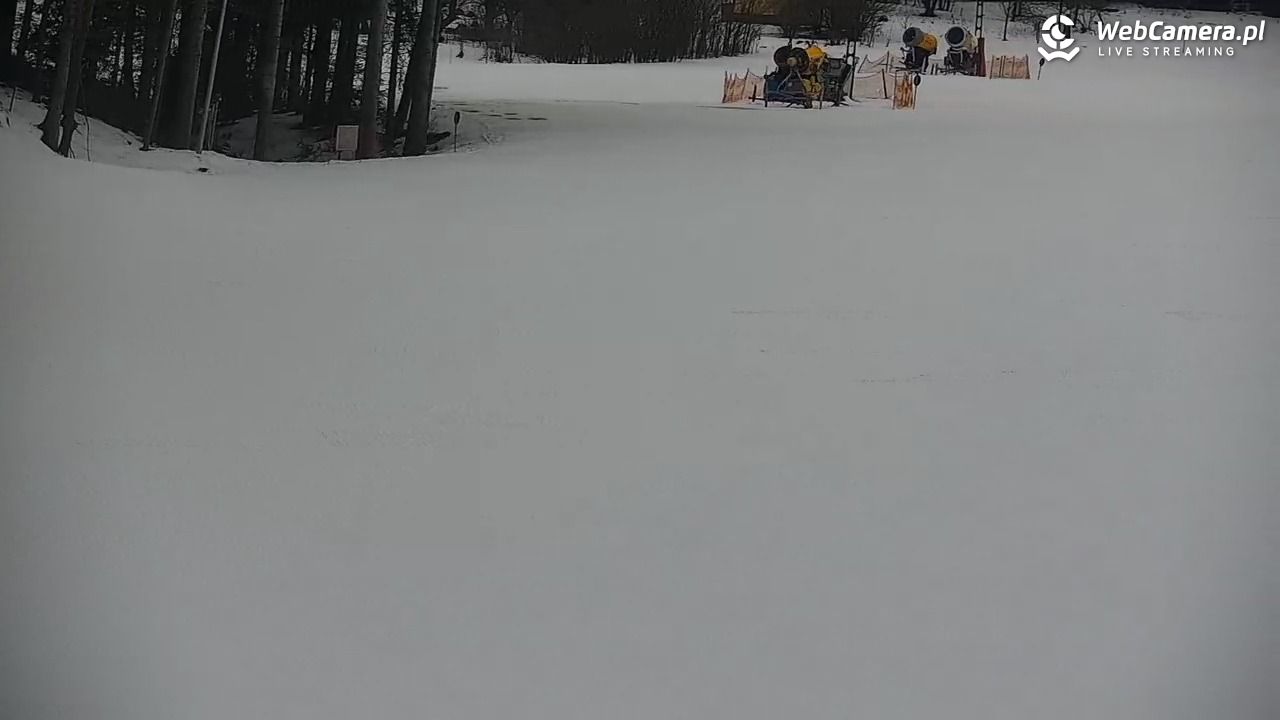 CIENIAWA - Ski - 28 styczeń 2026, 12:24