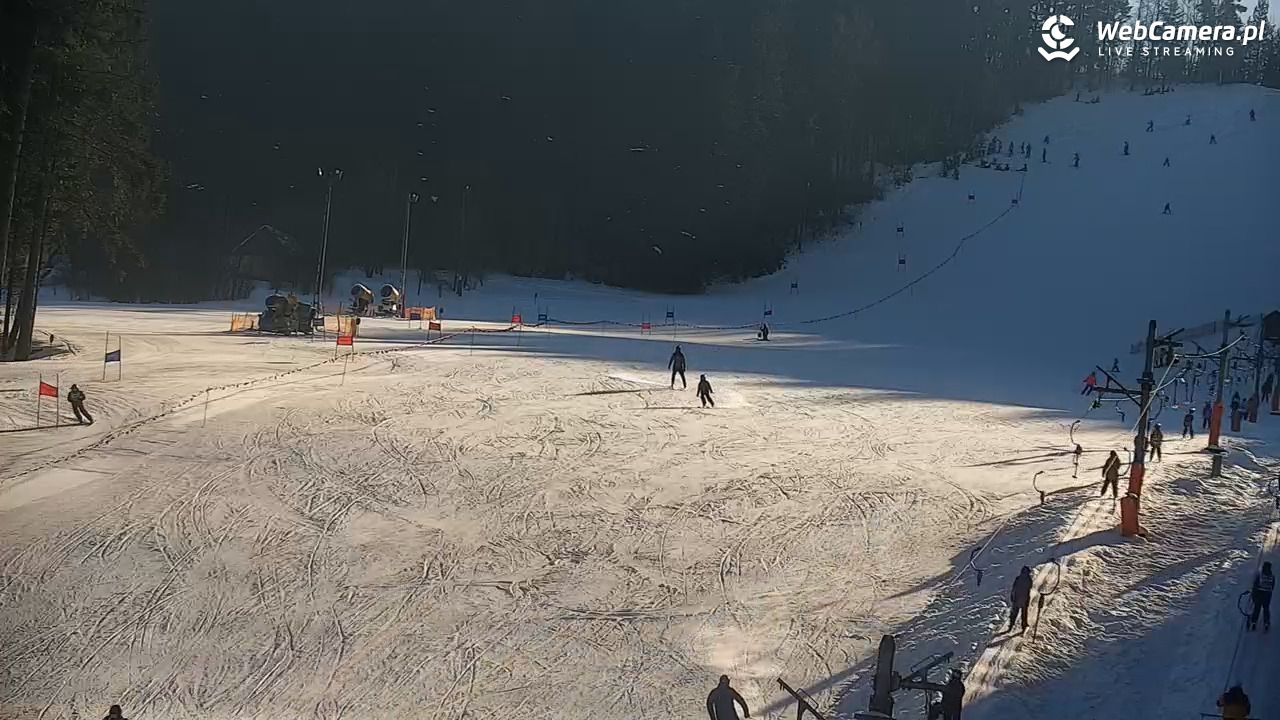 CIENIAWA - Ski - 20 styczeń 2026, 12:05