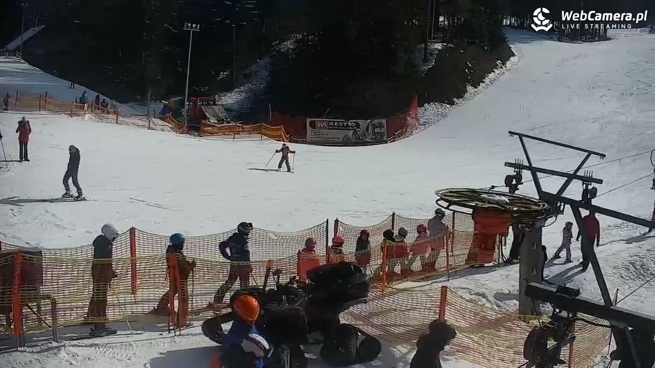 CIENIAWA - Ski - 21 luty 2026, 11:26