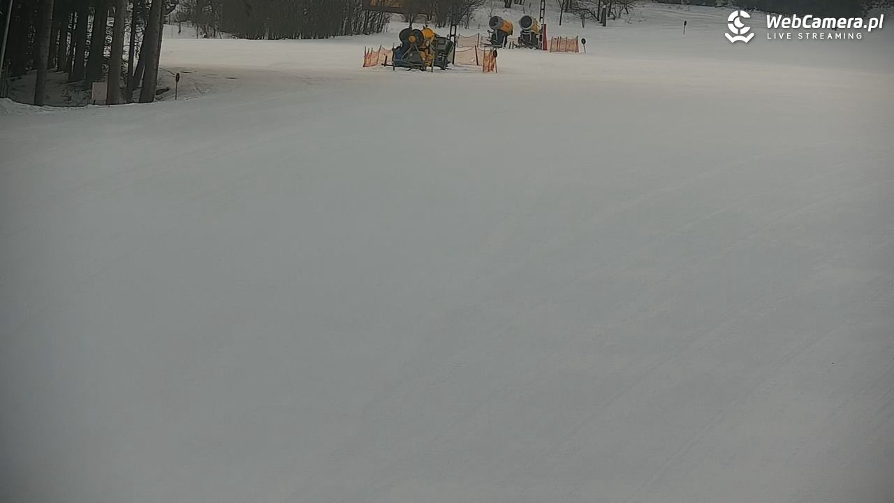 CIENIAWA - Ski - 25 styczeń 2026, 07:21