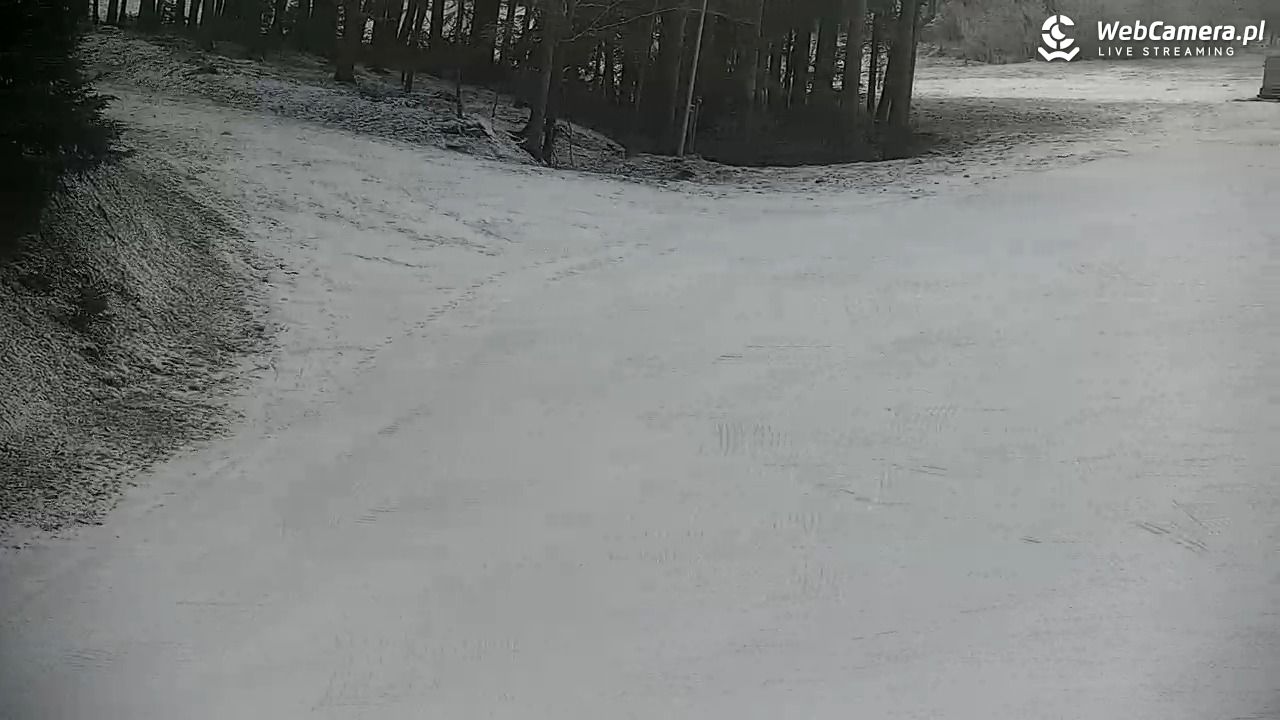 CIENIAWA - Ski - 26 grudzień 2025, 09:55