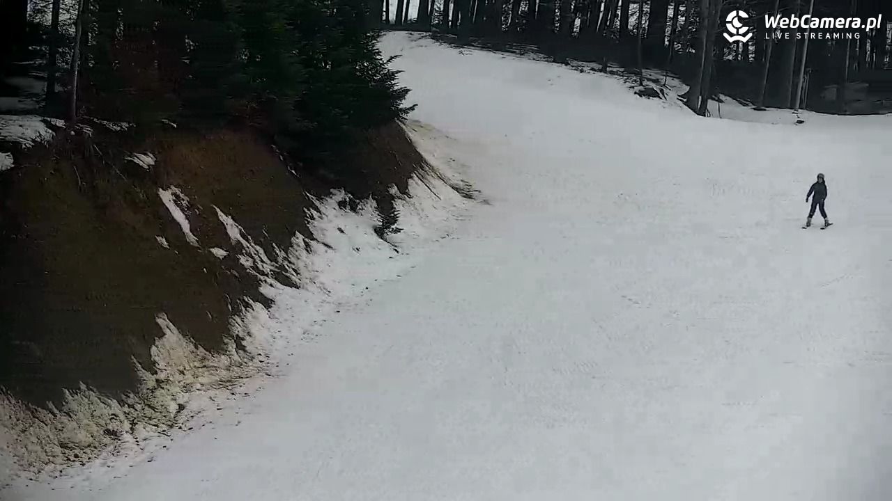 CIENIAWA - Ski - 07 luty 2026, 11:50