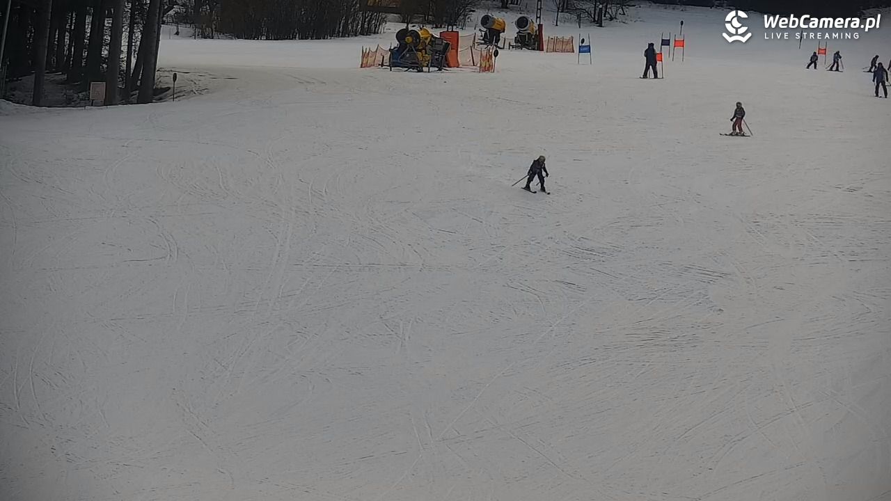 CIENIAWA - Ski - 04 luty 2026, 10:20