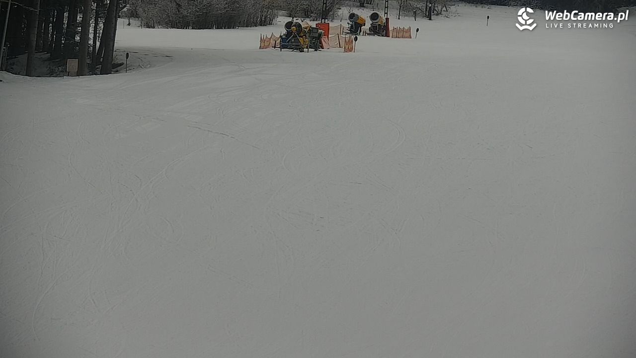 CIENIAWA - Ski - 30 styczeń 2026, 11:08