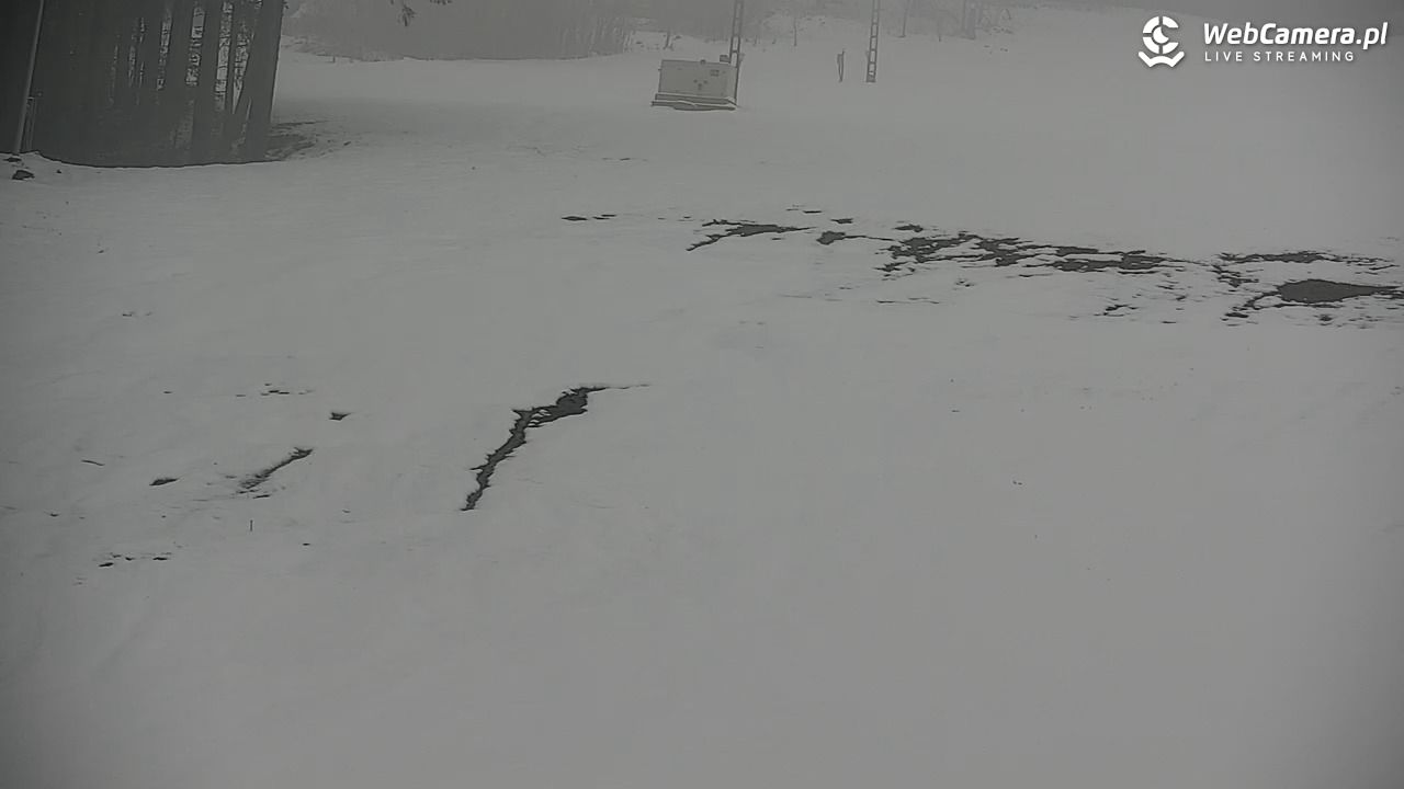 CIENIAWA - Ski - 28 marzec 2026, 14:20