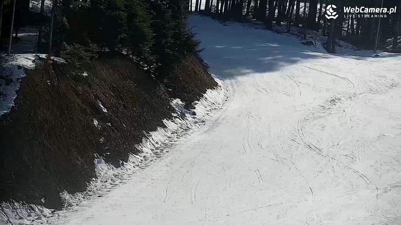 CIENIAWA - Ski - 21 luty 2026, 11:05