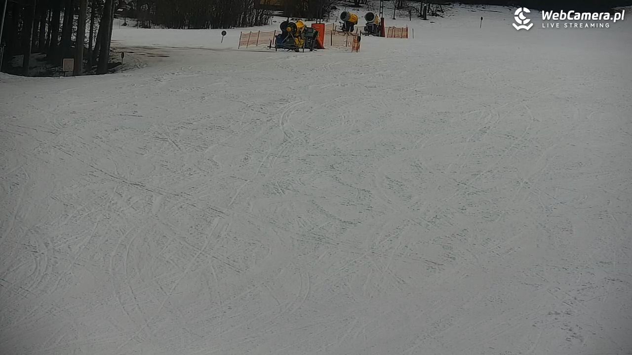 CIENIAWA - Ski - 06 luty 2026, 13:17