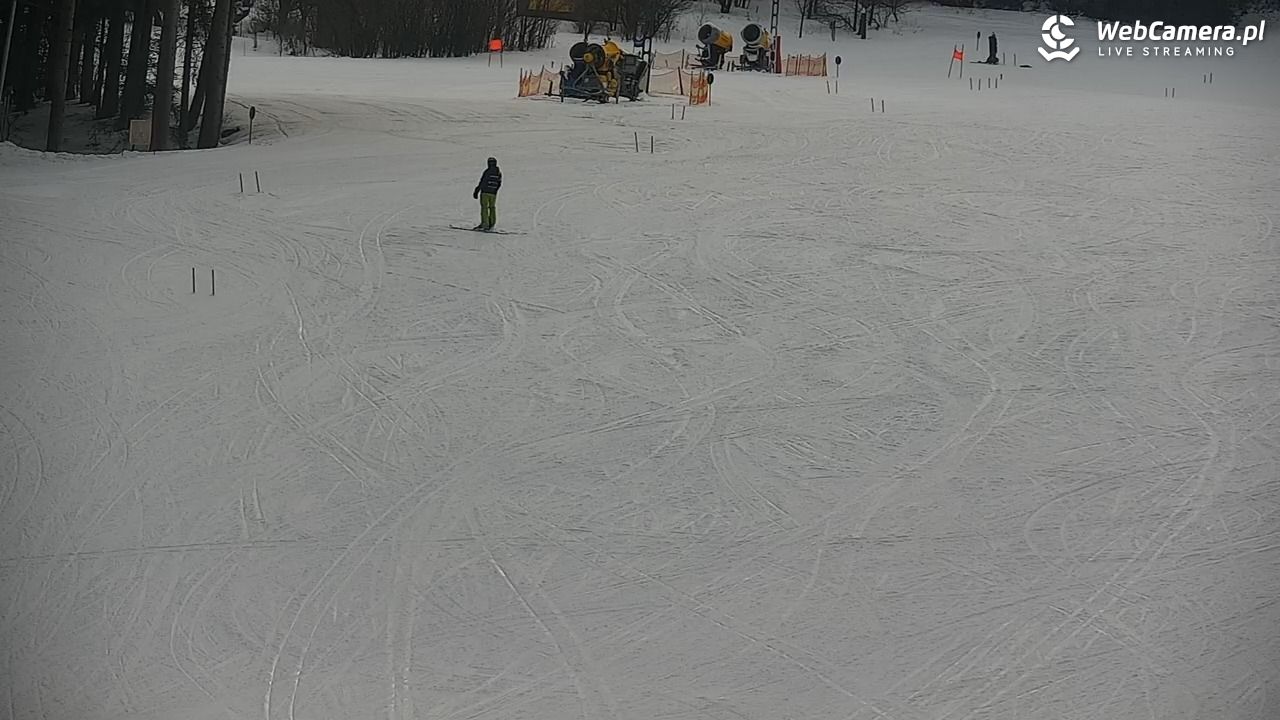 CIENIAWA - Ski - 24 styczeń 2026, 10:08