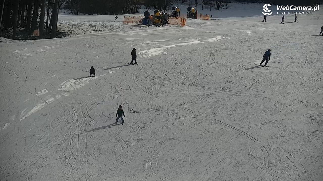 CIENIAWA - Ski - 20 luty 2026, 12:01