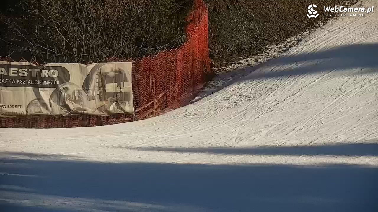 CIENIAWA - Ski - 26 luty 2026, 13:37