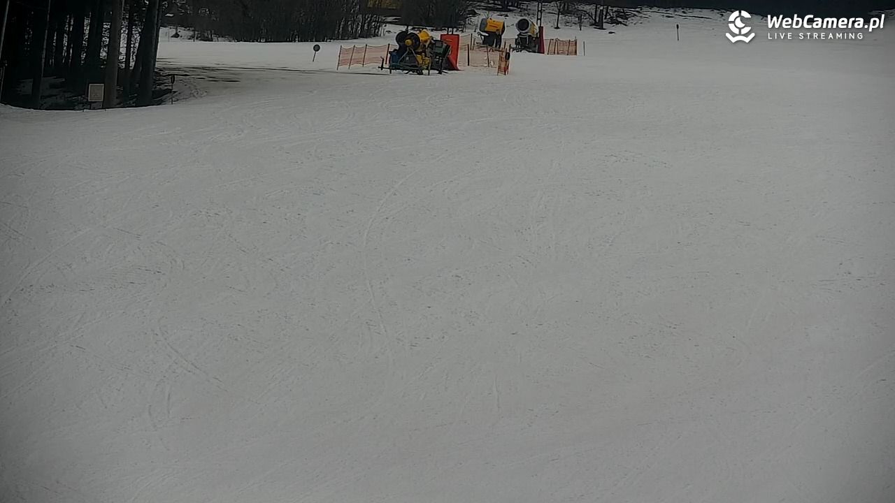 CIENIAWA - Ski - 07 luty 2026, 12:24