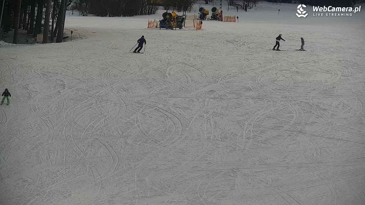 CIENIAWA - Ski - 25 styczeń 2026, 11:57