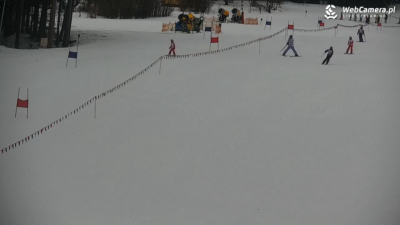 CIENIAWA - Ski - 26 styczeń 2026, 09:48