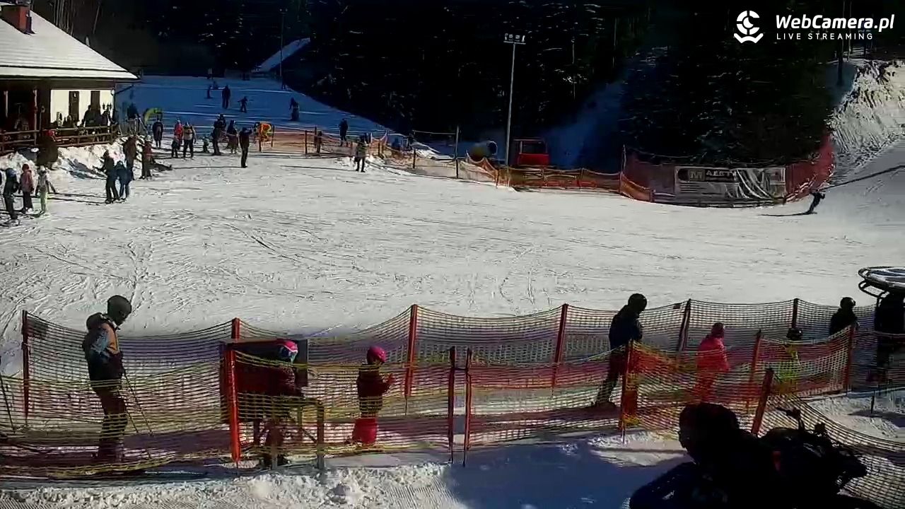 CIENIAWA - Ski - 17 styczeń 2026, 11:50