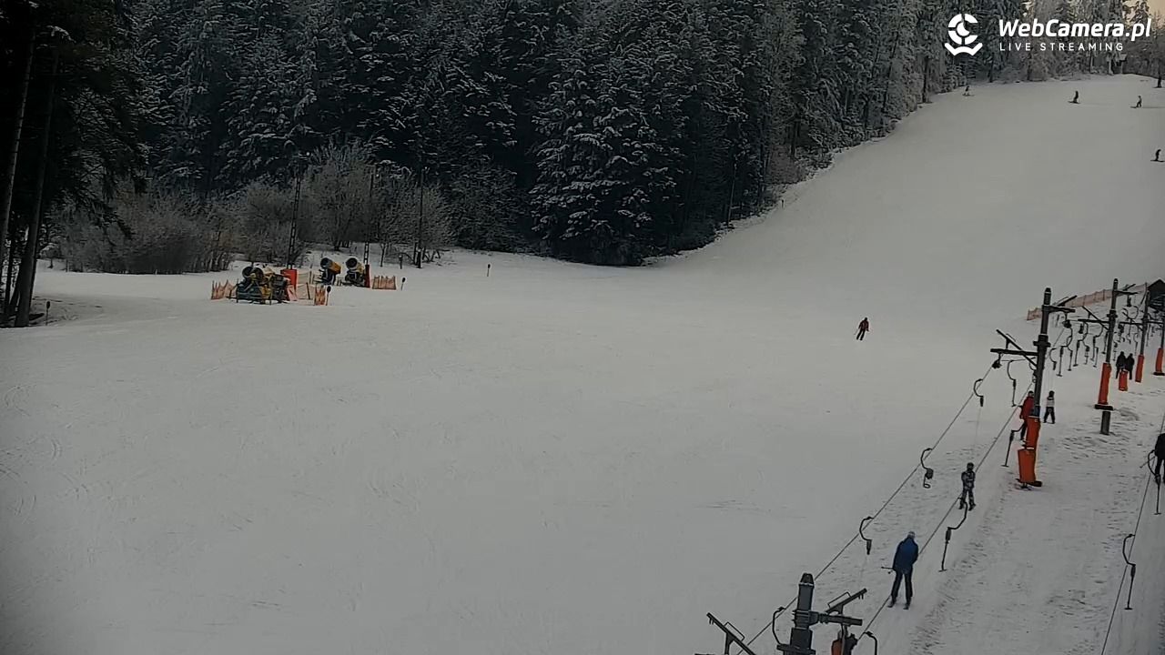 CIENIAWA - Ski - 31 styczeń 2026, 15:13