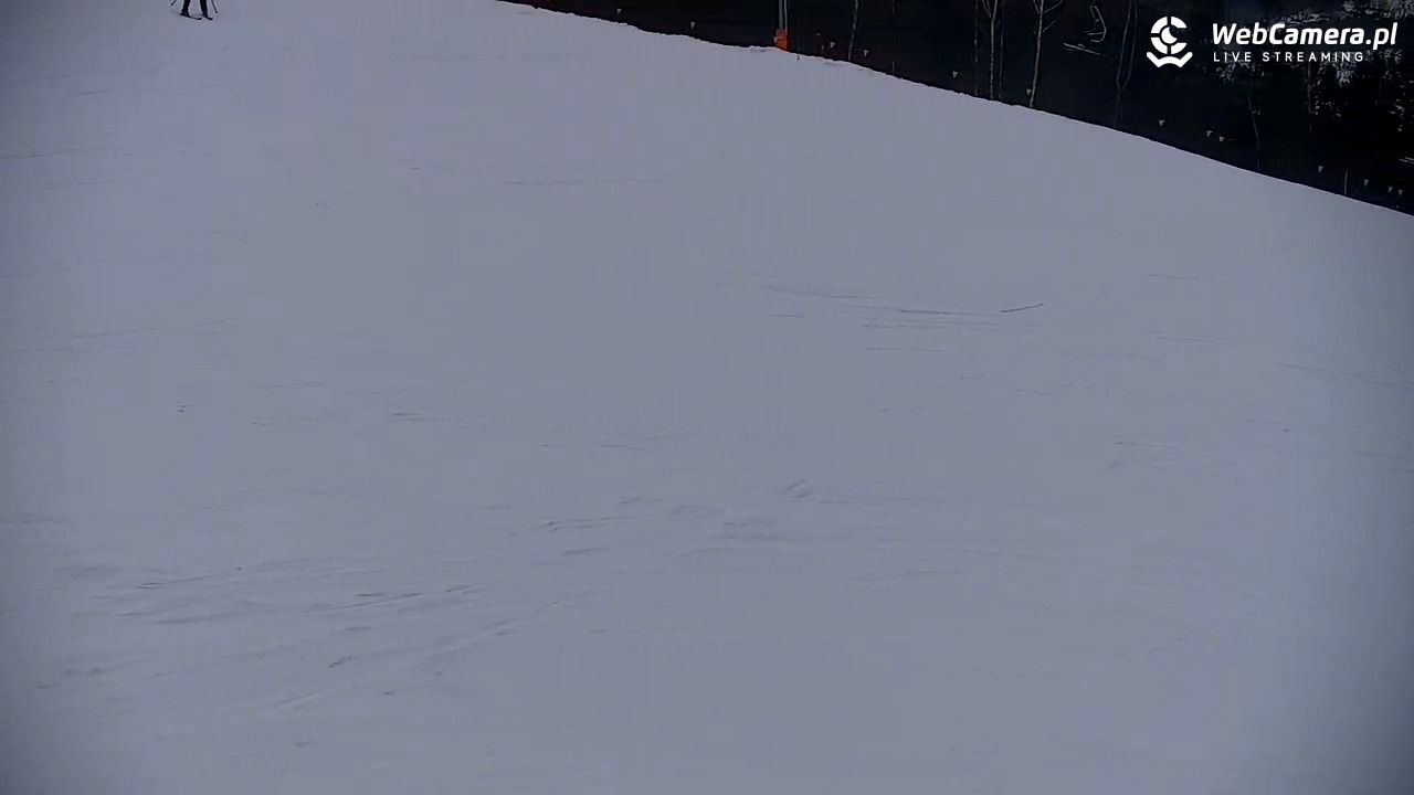 Wisła Cieńków - Stacja narciarska - 22 styczeń 2026, 11:14