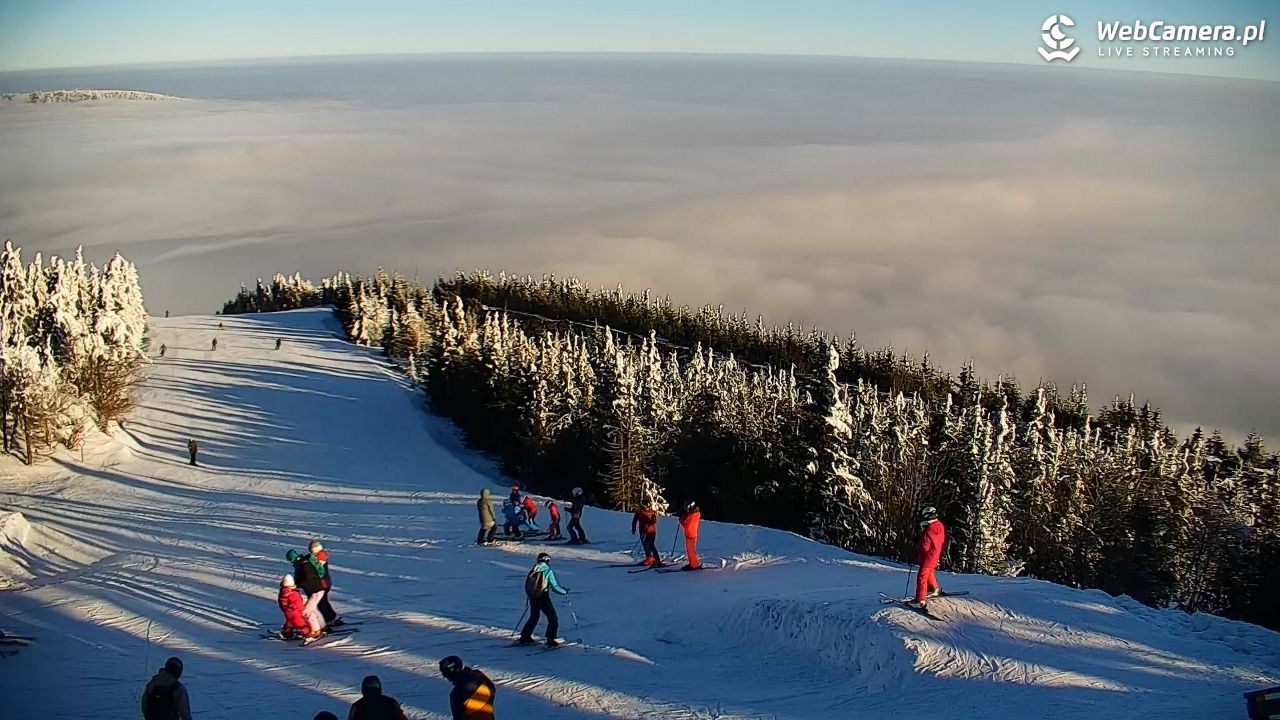 COS - SKRZYCZNE - 01 luty 2026, 09:09