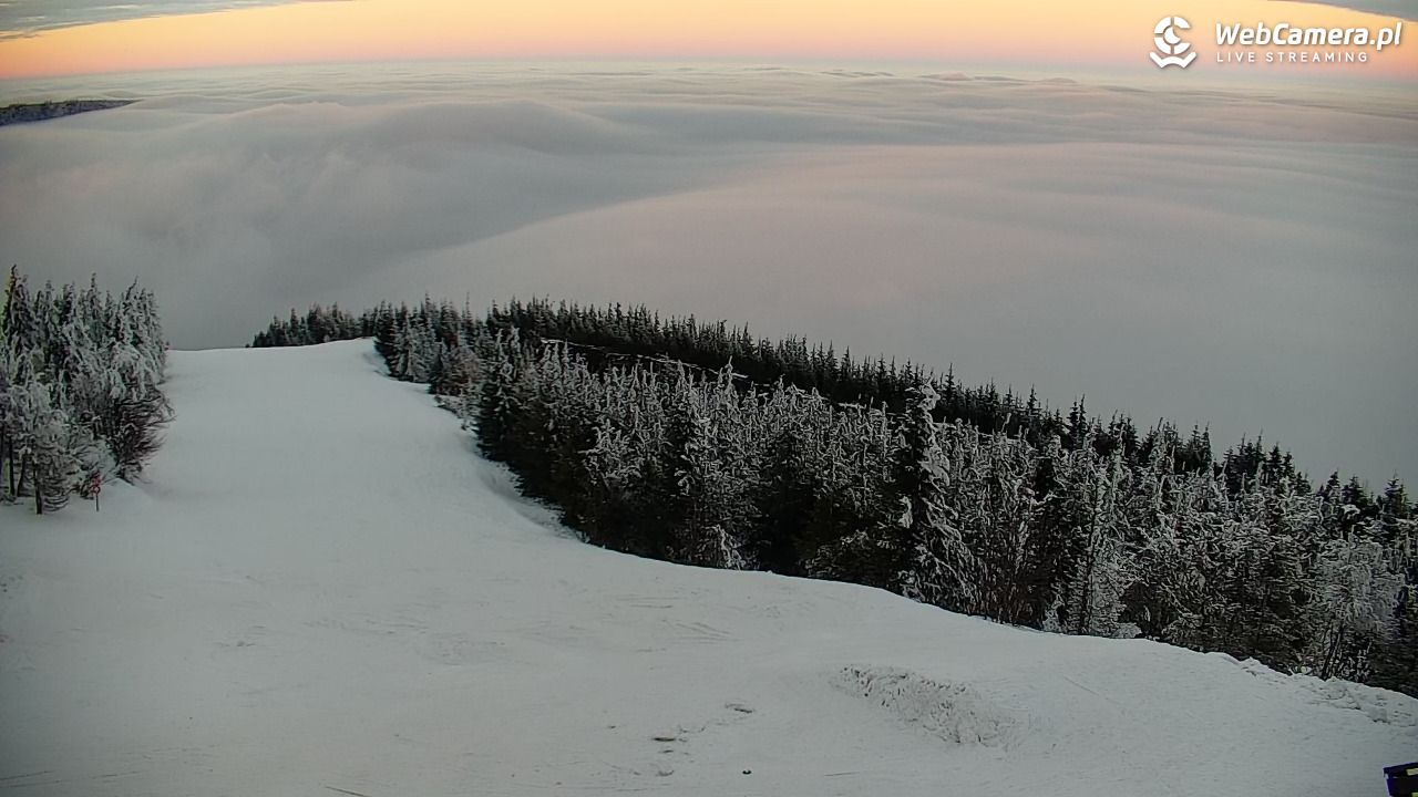 COS - SKRZYCZNE - 31 styczeń 2026, 16:30