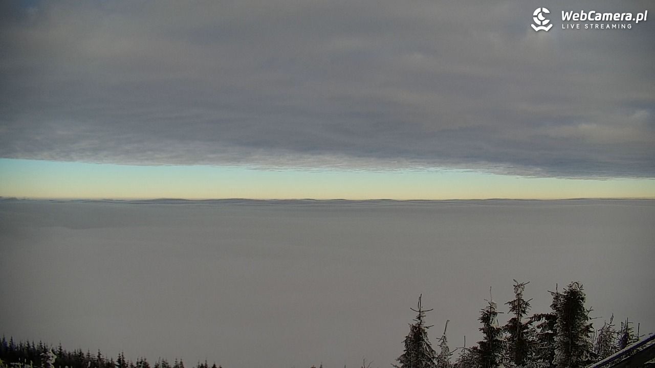 COS - SKRZYCZNE - 31 styczeń 2026, 15:08