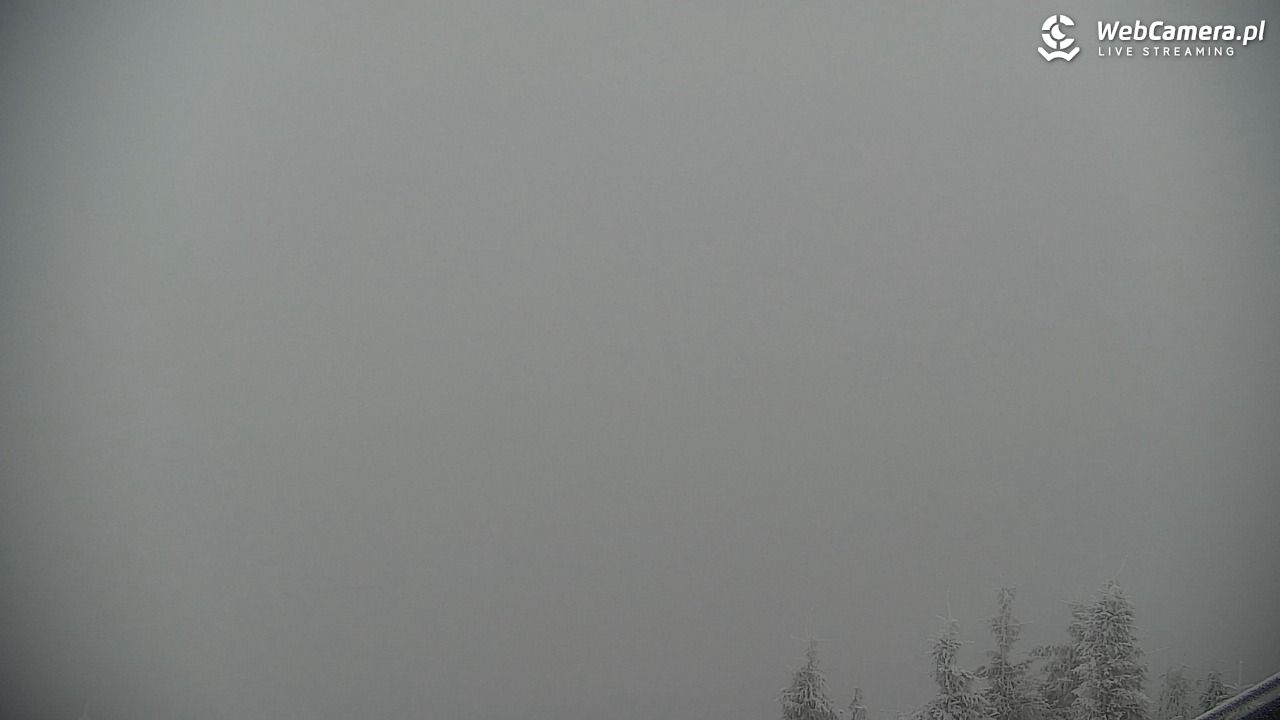 COS - SKRZYCZNE - 02 luty 2026, 09:17