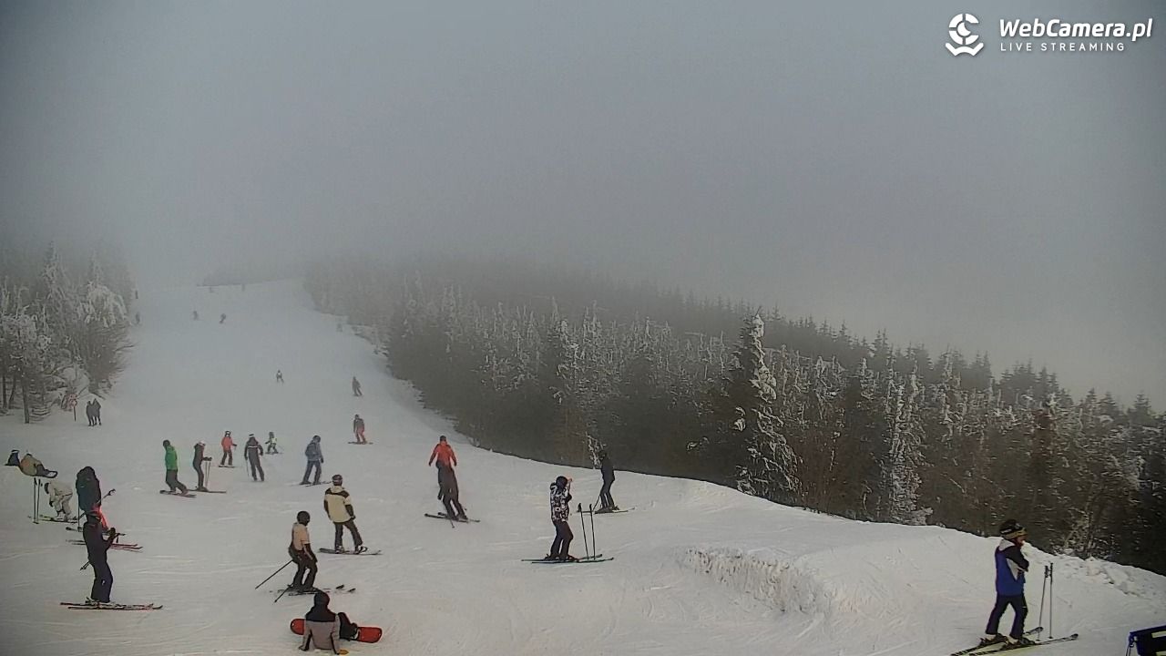 COS - SKRZYCZNE - 01 luty 2026, 11:29