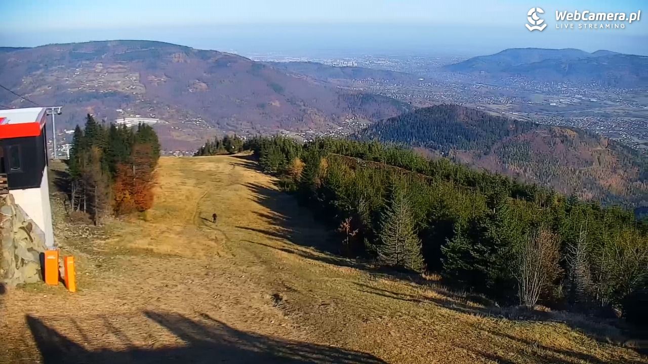 COS - SKRZYCZNE - 01 listopad 2025, 09:52