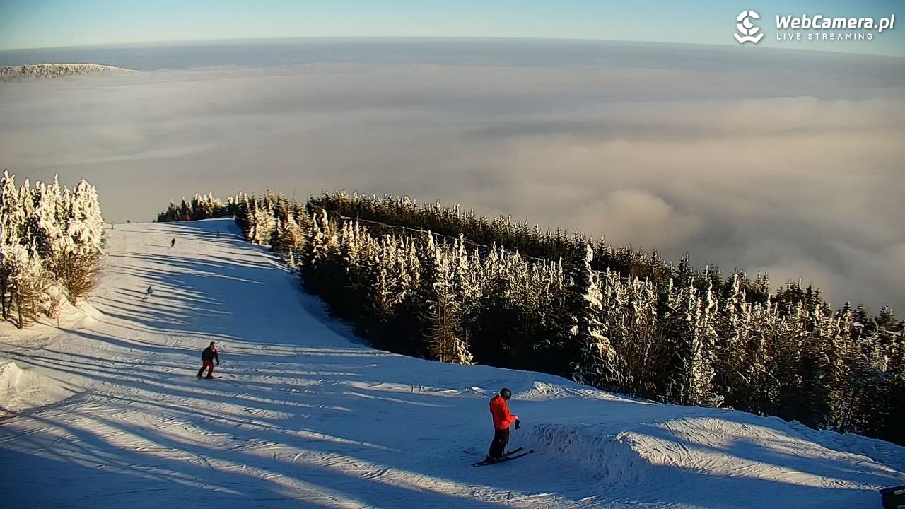 COS - SKRZYCZNE - 01 luty 2026, 09:17