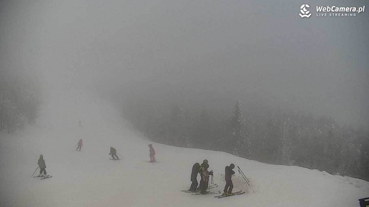 COS - SKRZYCZNE - 01 luty 2026, 13:55