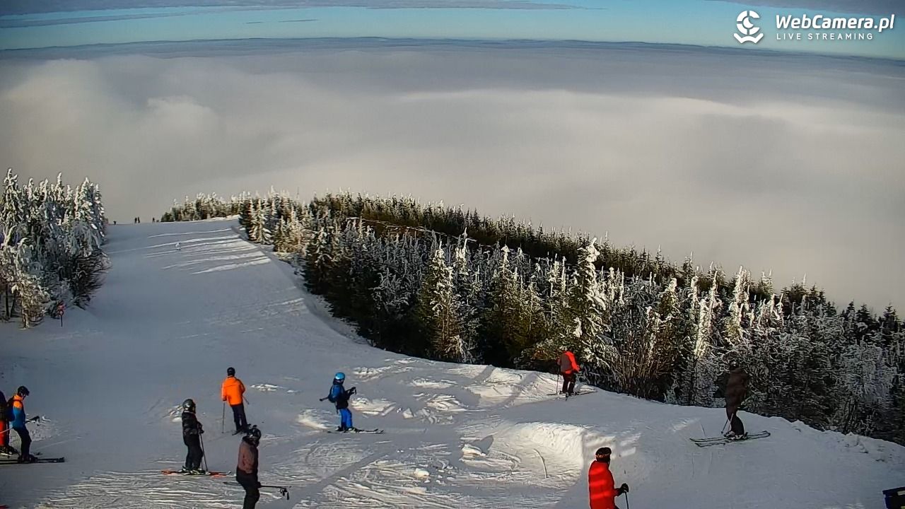 COS - SKRZYCZNE - 31 styczeń 2026, 14:27