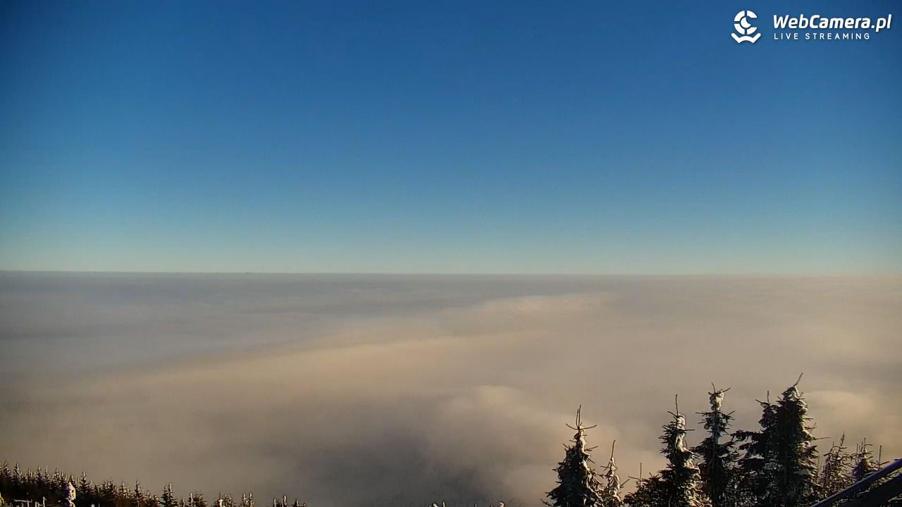 COS - SKRZYCZNE - 01 luty 2026, 09:32