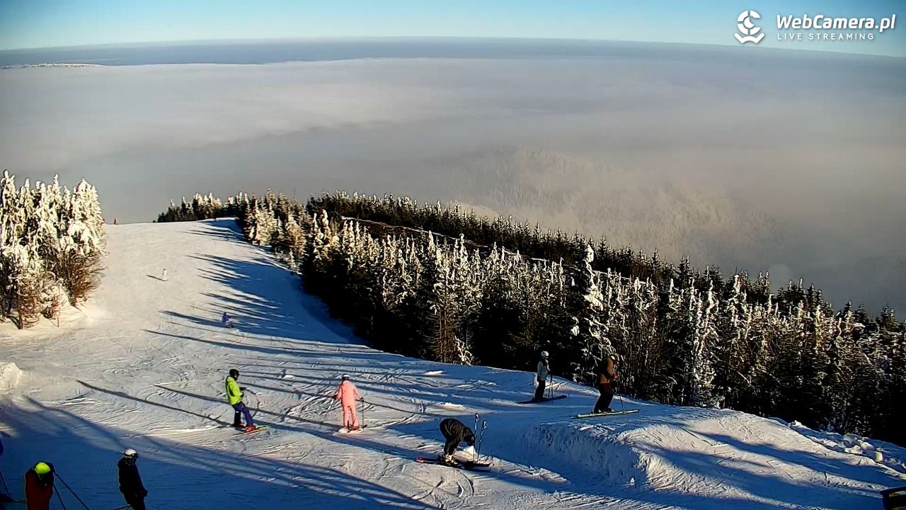 COS - SKRZYCZNE - 01 luty 2026, 10:04