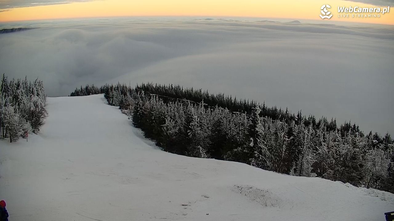 COS - SKRZYCZNE - 31 styczeń 2026, 16:20