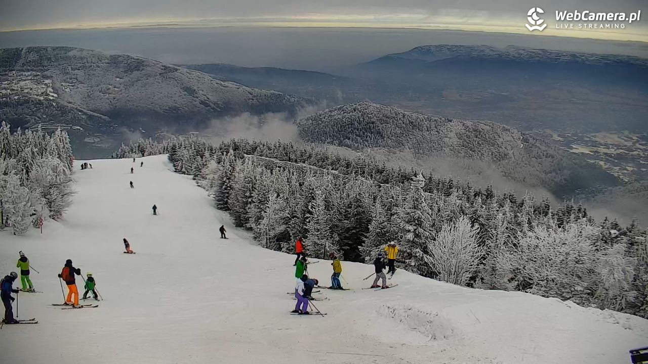 COS - SKRZYCZNE - 02 luty 2026, 12:19