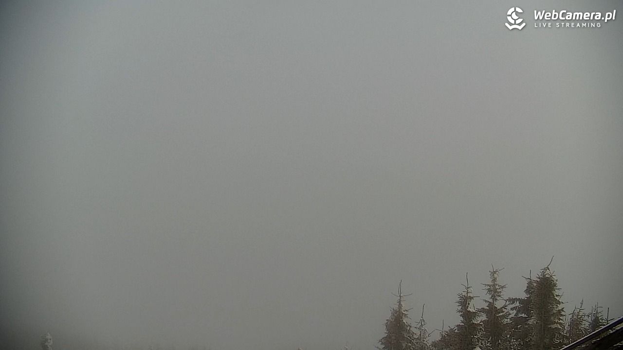 COS - SKRZYCZNE - 01 luty 2026, 12:37