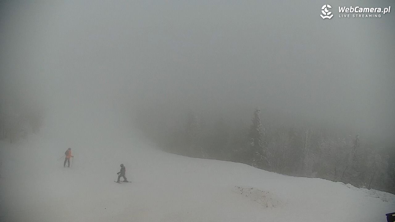 COS - SKRZYCZNE - 01 luty 2026, 15:47