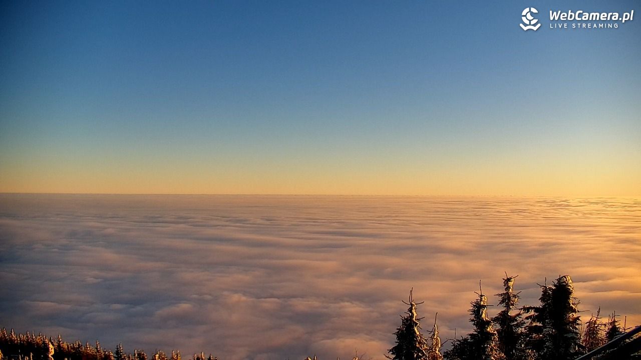 COS - SKRZYCZNE - 01 luty 2026, 07:45