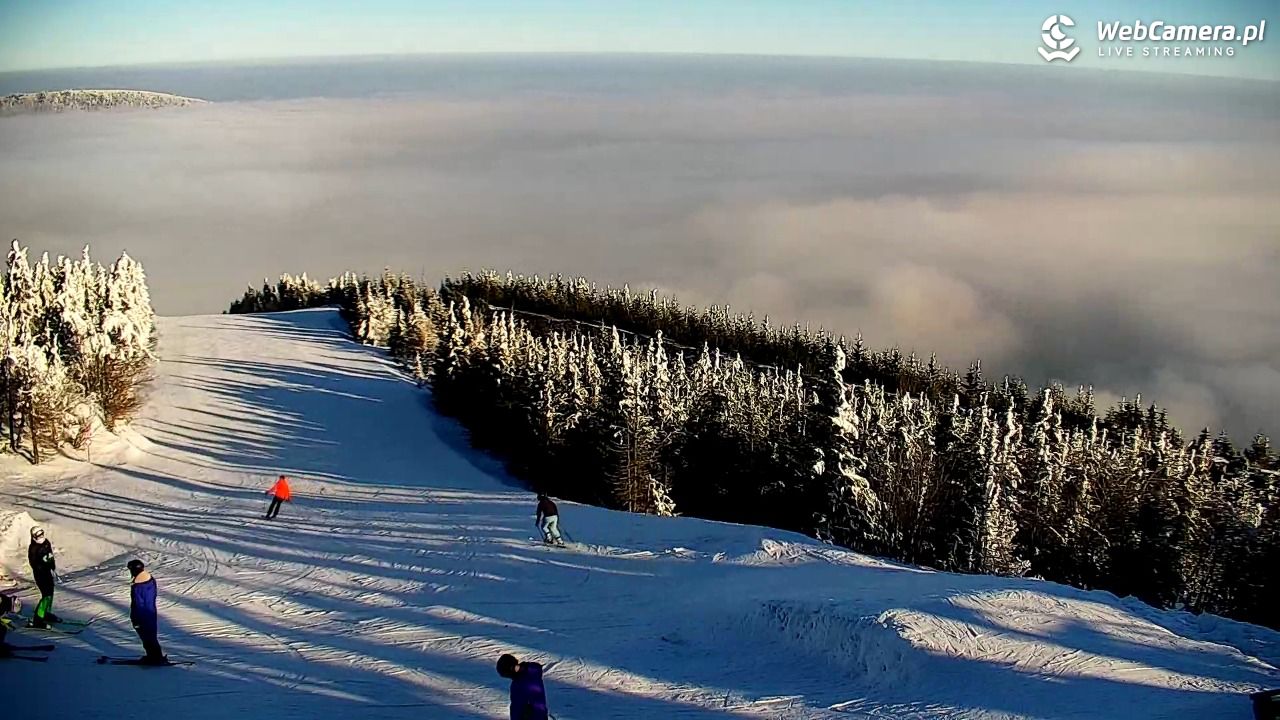 COS - SKRZYCZNE - 01 luty 2026, 09:19