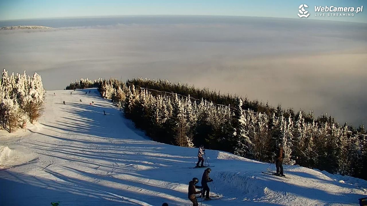 COS - SKRZYCZNE - 01 luty 2026, 09:32